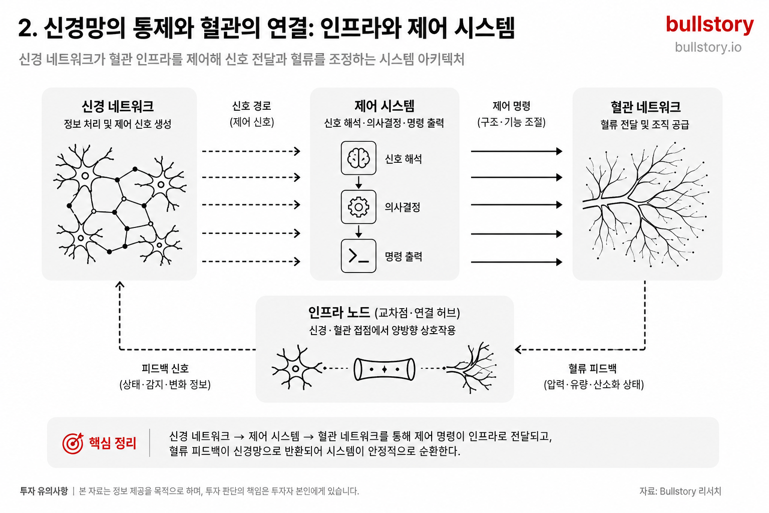 Interaction between neural control systems and vascular networks showing infrastructure and control relationships