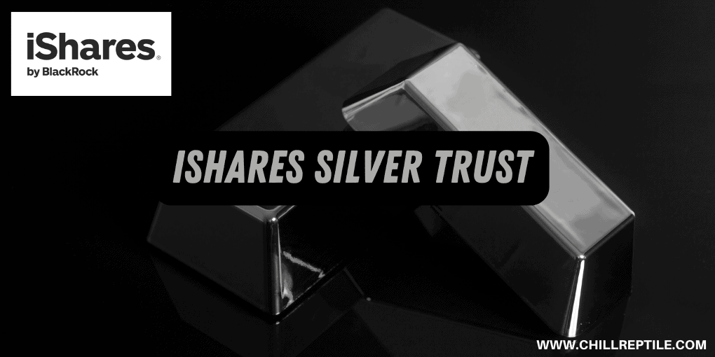 Precious Metals ETF (Investors Guide)