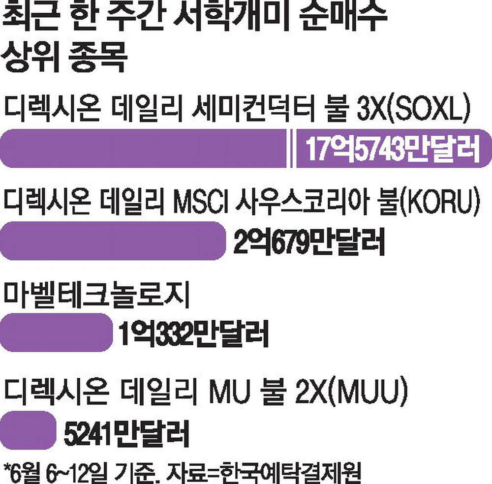 서학개미, 증시 조정에 반도체 3배 레버리지 ETF에 대규모 베팅
