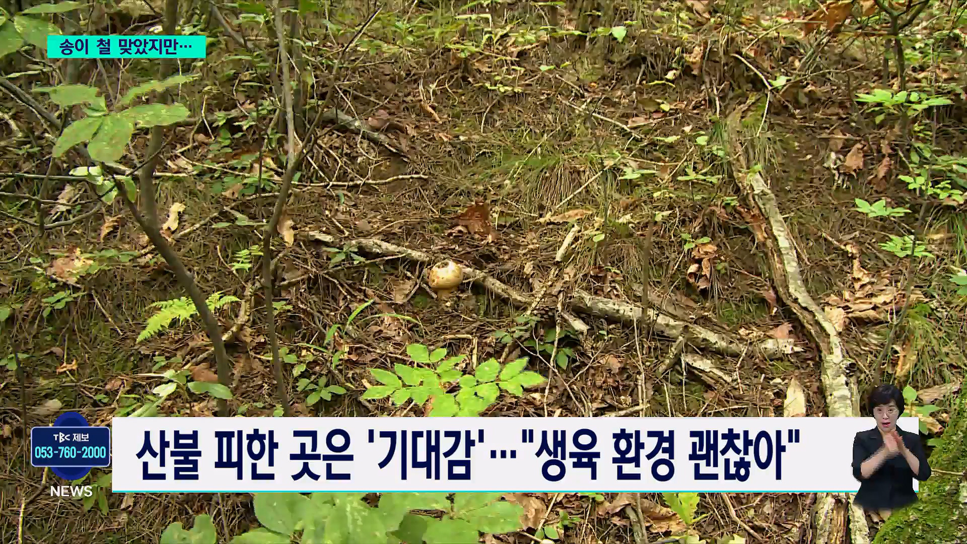 여의도 식당가에 번진 '삼전닉스' 대화
