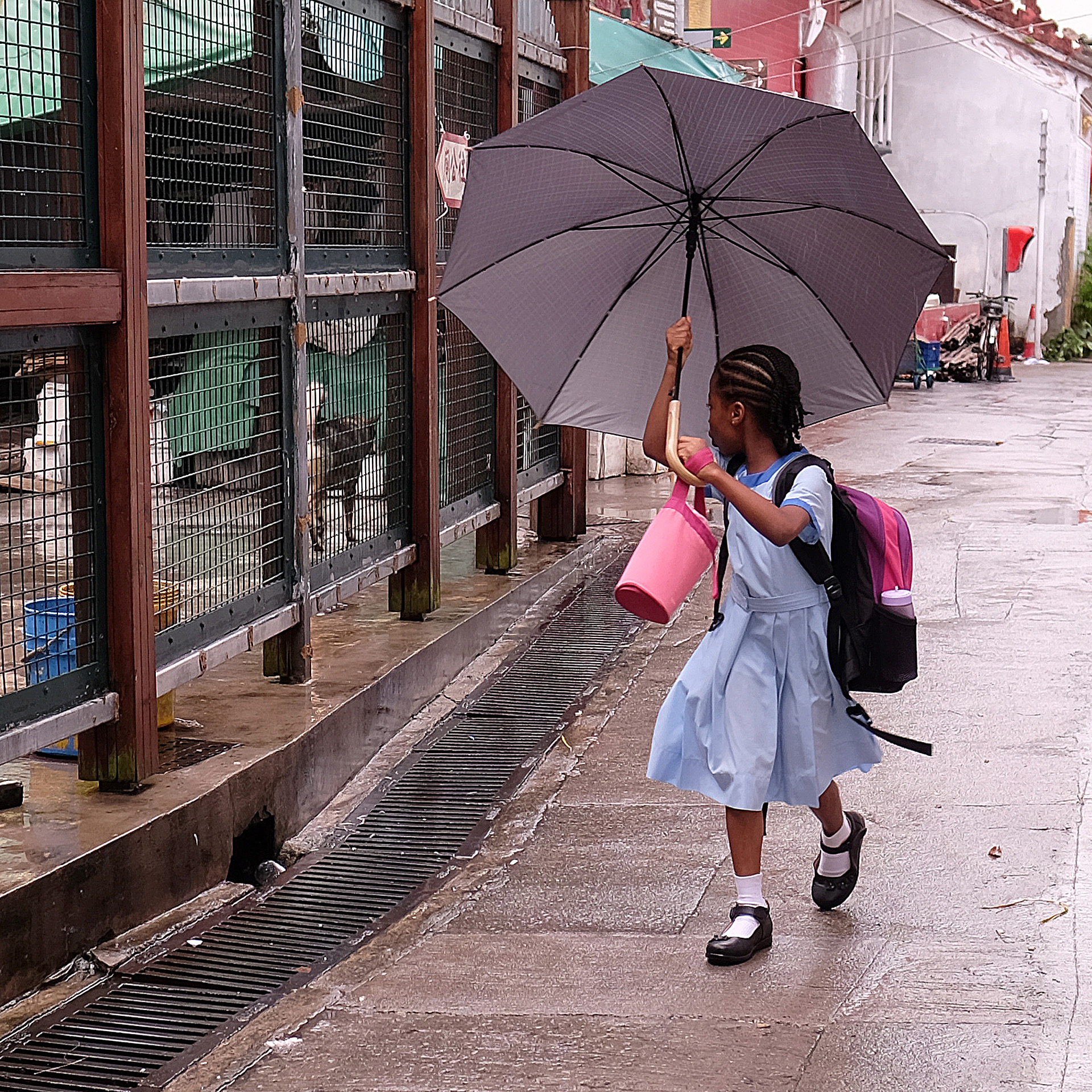 Schoolgirls & -boys - Els Matthysen