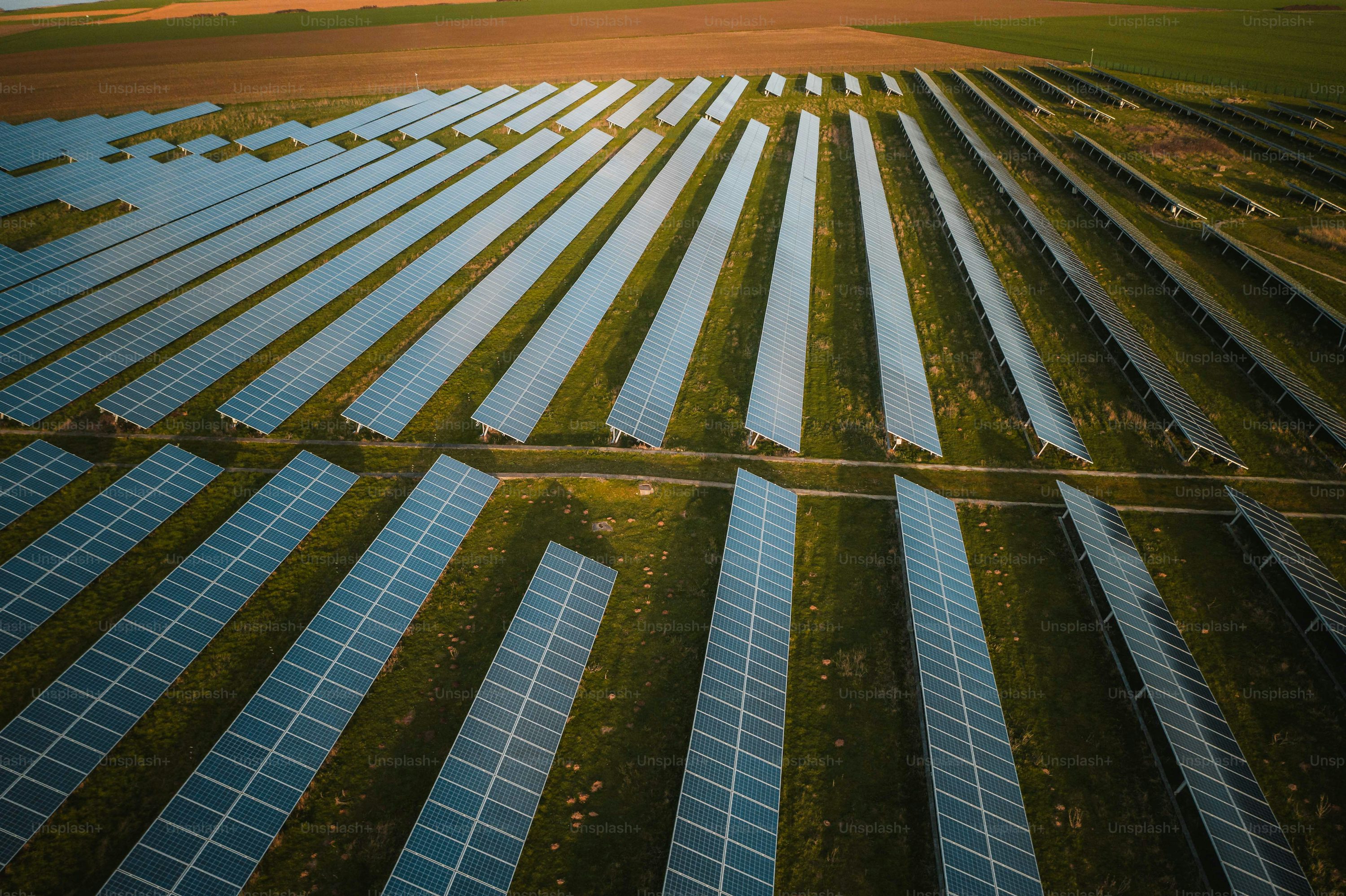 Aerial view of solar panels in a field photo - Renewable energy Image ...