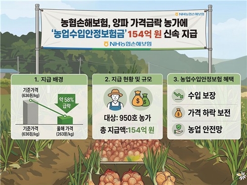NH농협손해보험, 양파 폭락에 보험금 154억 즉시 지급