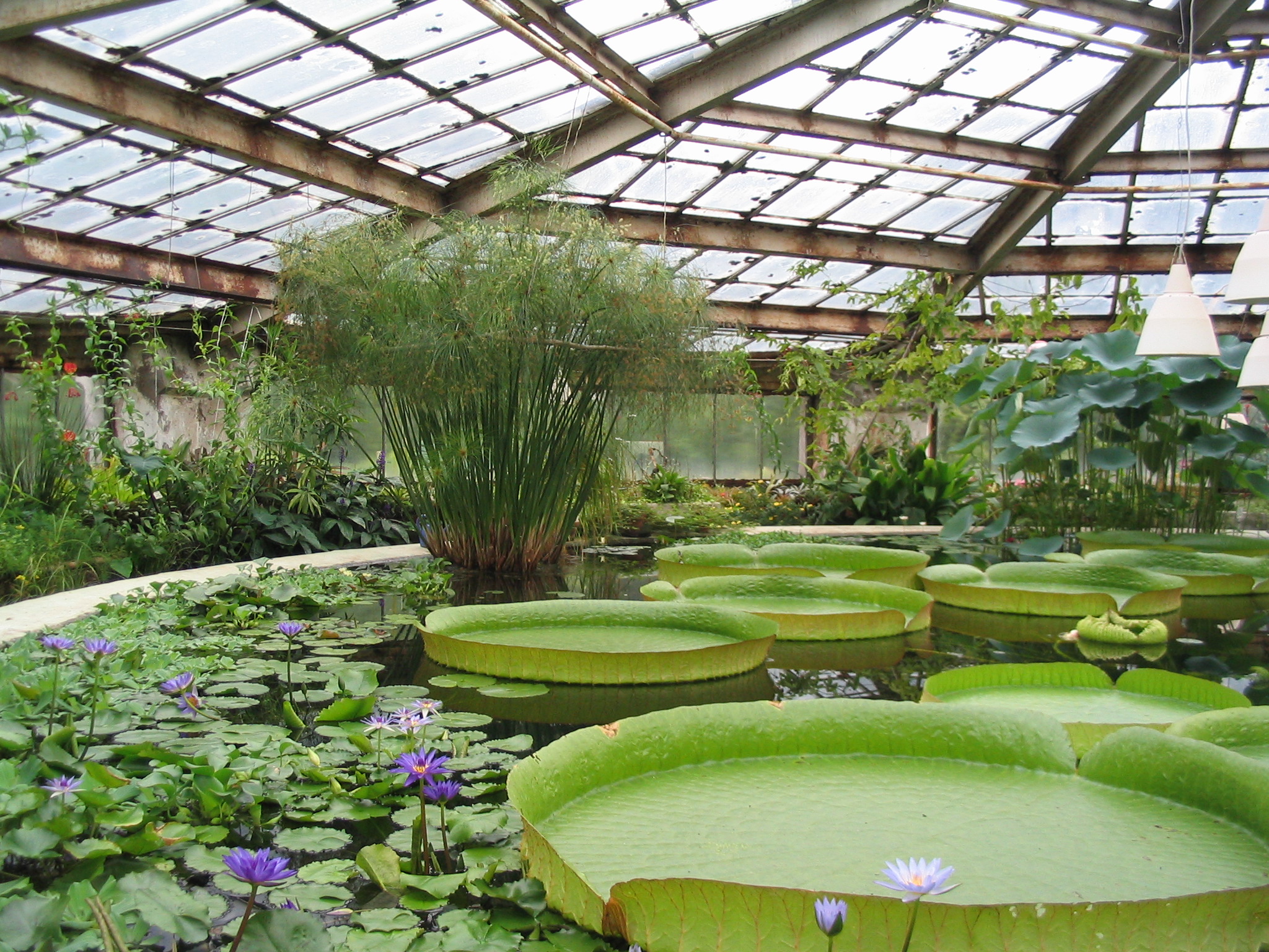 Greenhouse - Wikipedia