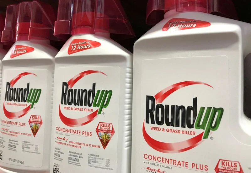 바이엘, 몬산토 분사·구조개편 계획 없다고 공식 발표