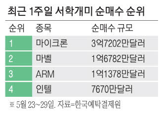 서학개미, 미국 반도체주 대거 매수…원픽은 마이크론