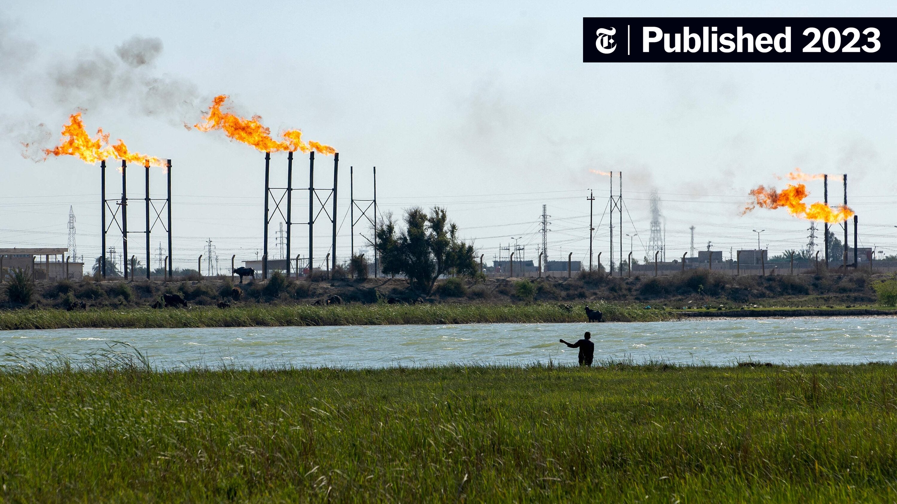 Why Are Oil Prices Falling While War Rages in the Middle East? - The ...
