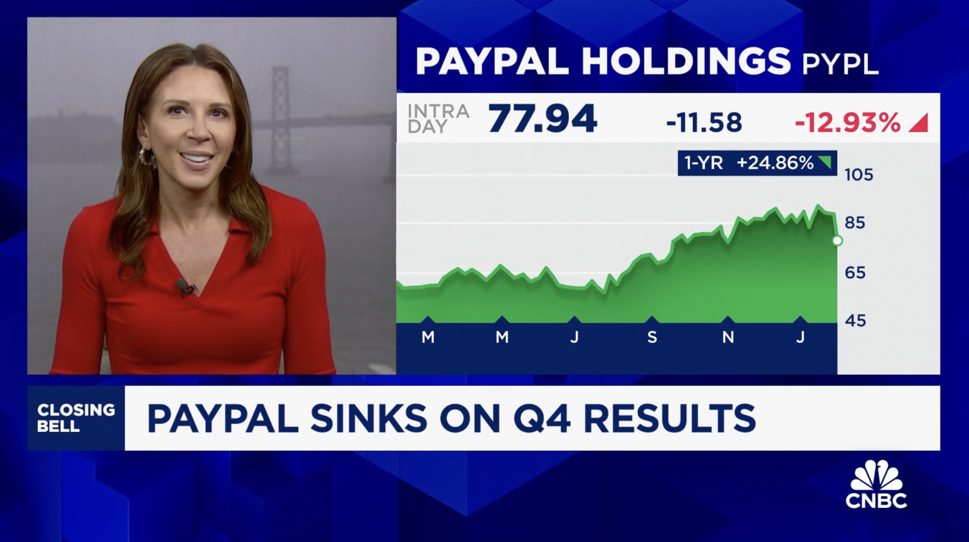 PayPal shares plunge 12% despite earnings beat as growth slows in card  processing