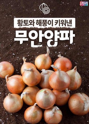 공영홈쇼핑, 무안 양파 10kg 1만4900원 특별방송