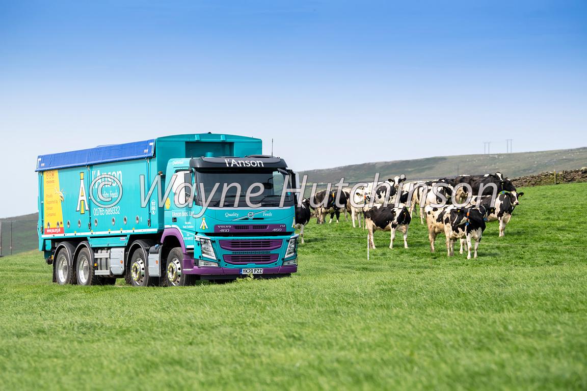Hutchinson Photography - Images of Agriculture and Rural Life