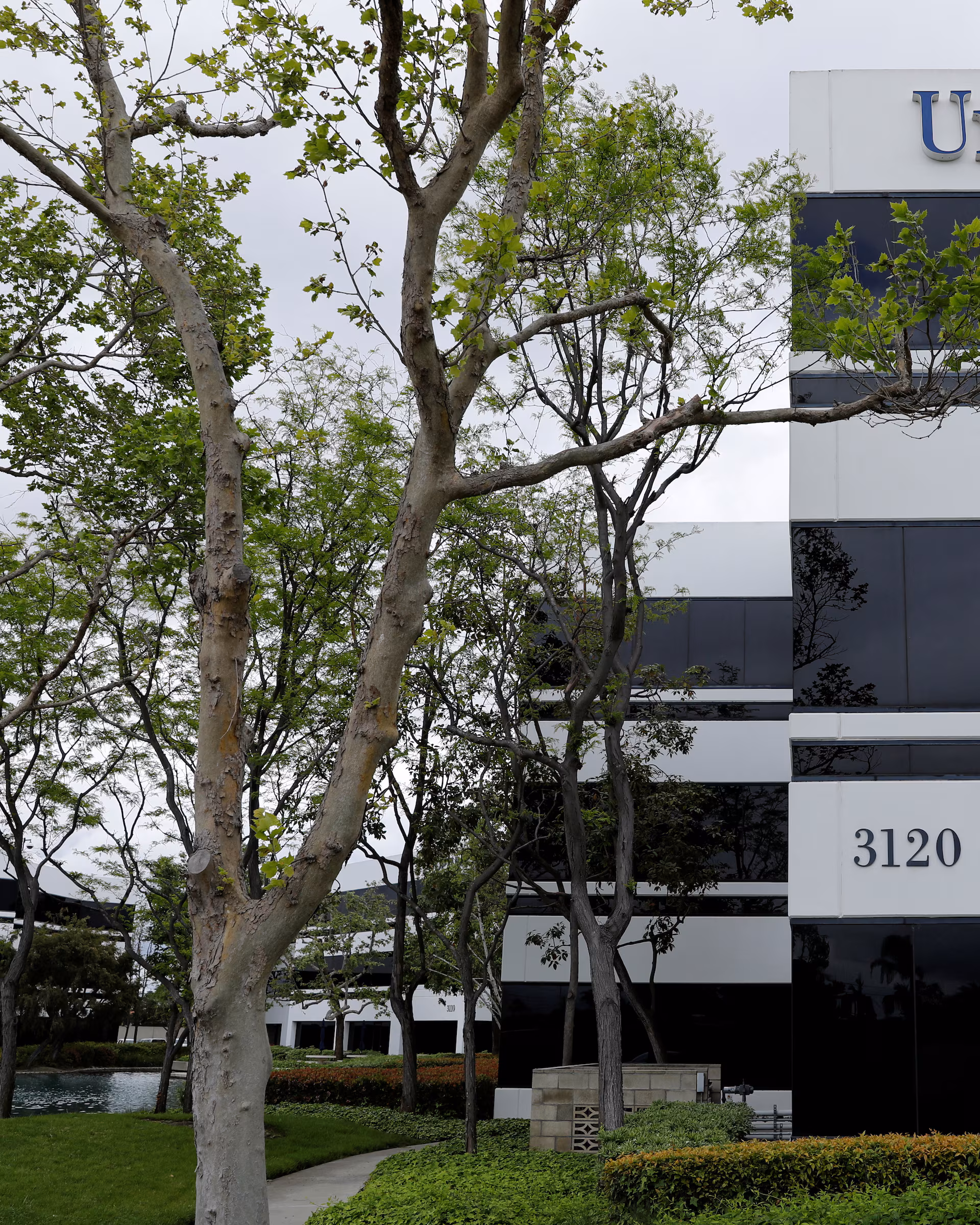 UnitedHealth forecasts first revenue drop in nearly four decades; shares  plunge | Reuters