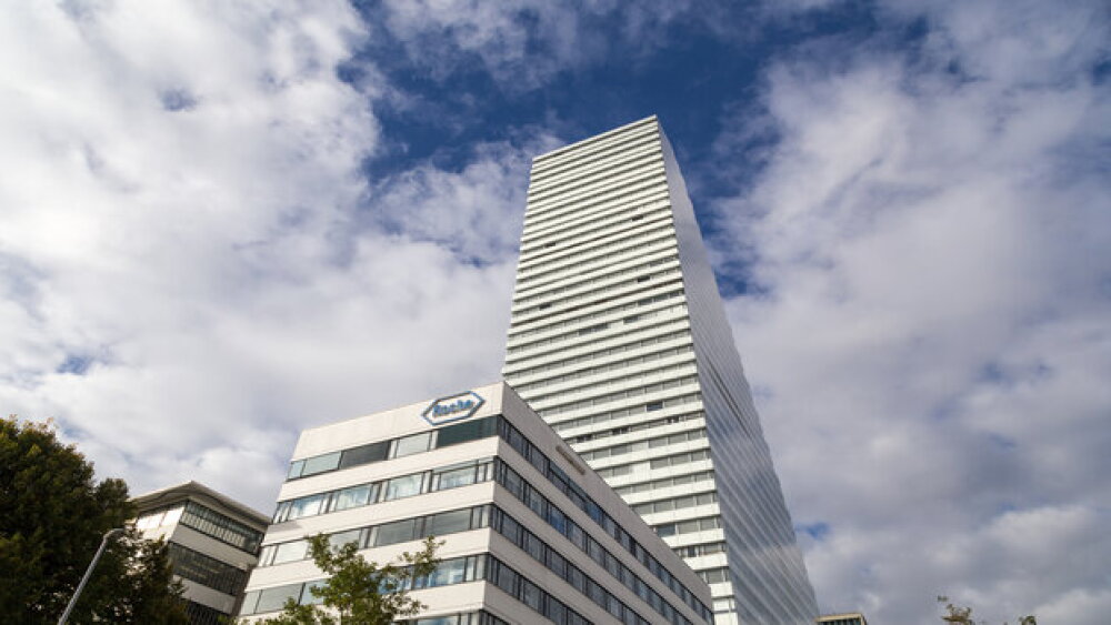 Novo Nordisk A/S: Evoke phase 3 trials did not demonstrate a ...