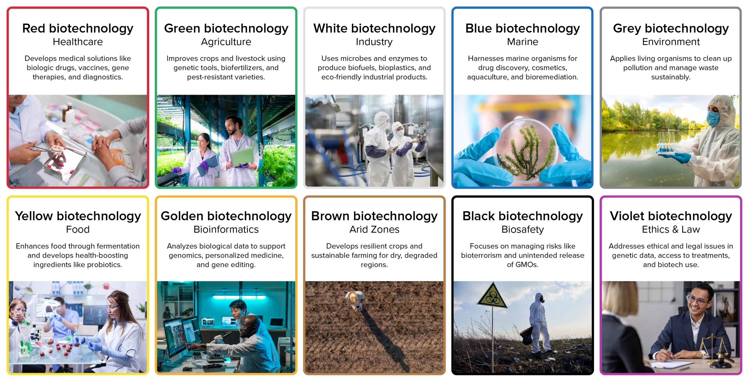 The 10 types of biotechnology and their applications