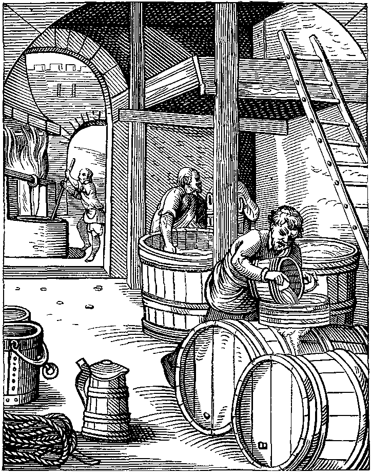 History of biotechnology - Wikipedia