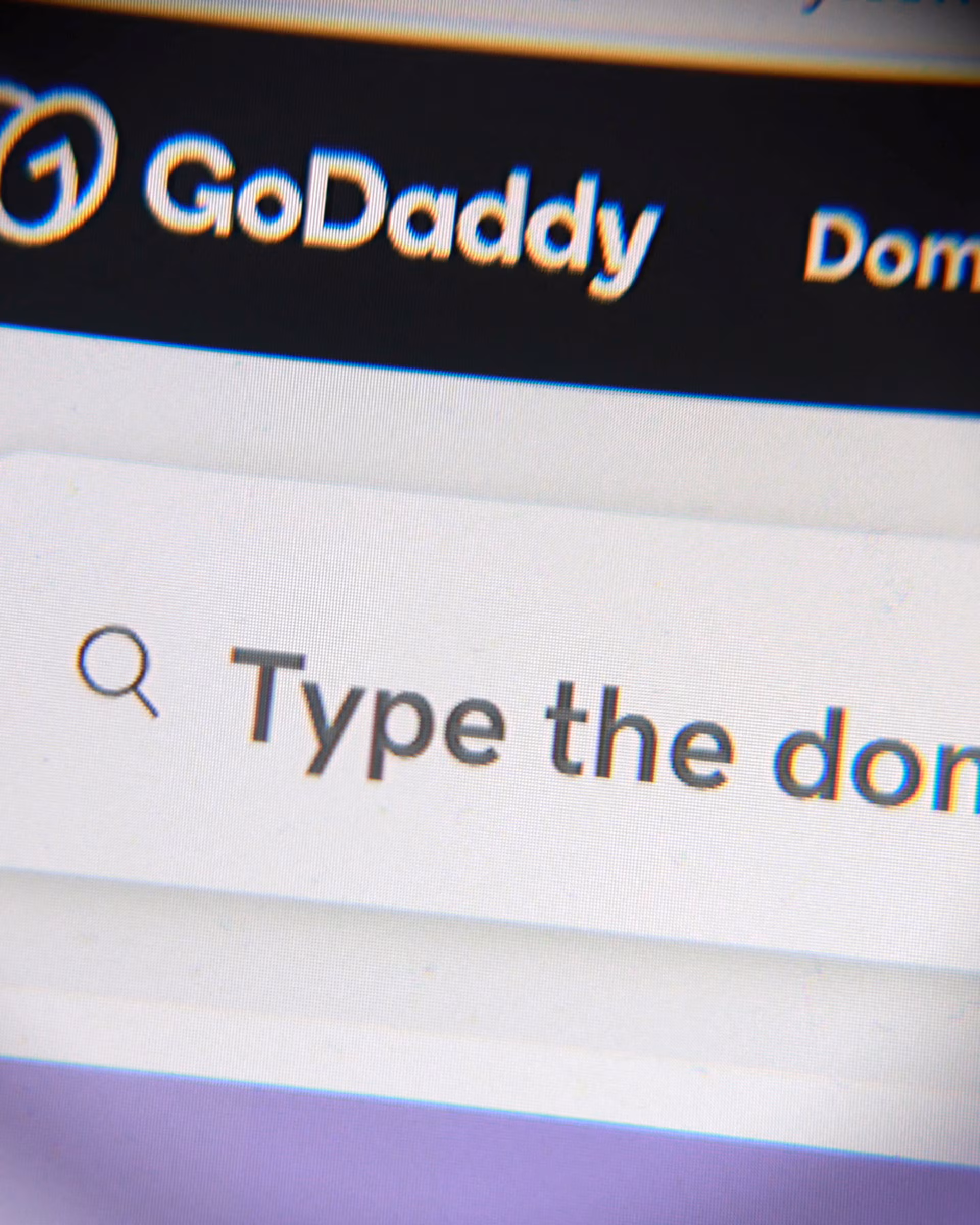 Domain registrar GoDaddy narrows annual revenue forecast