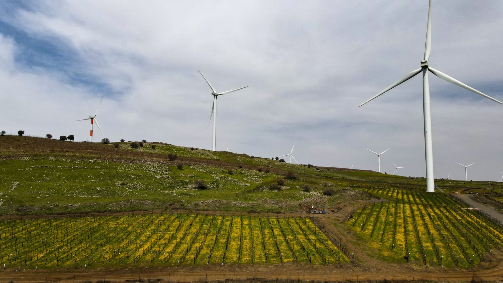 Renewable energy company starts testing first of 39 wind turbines on ...