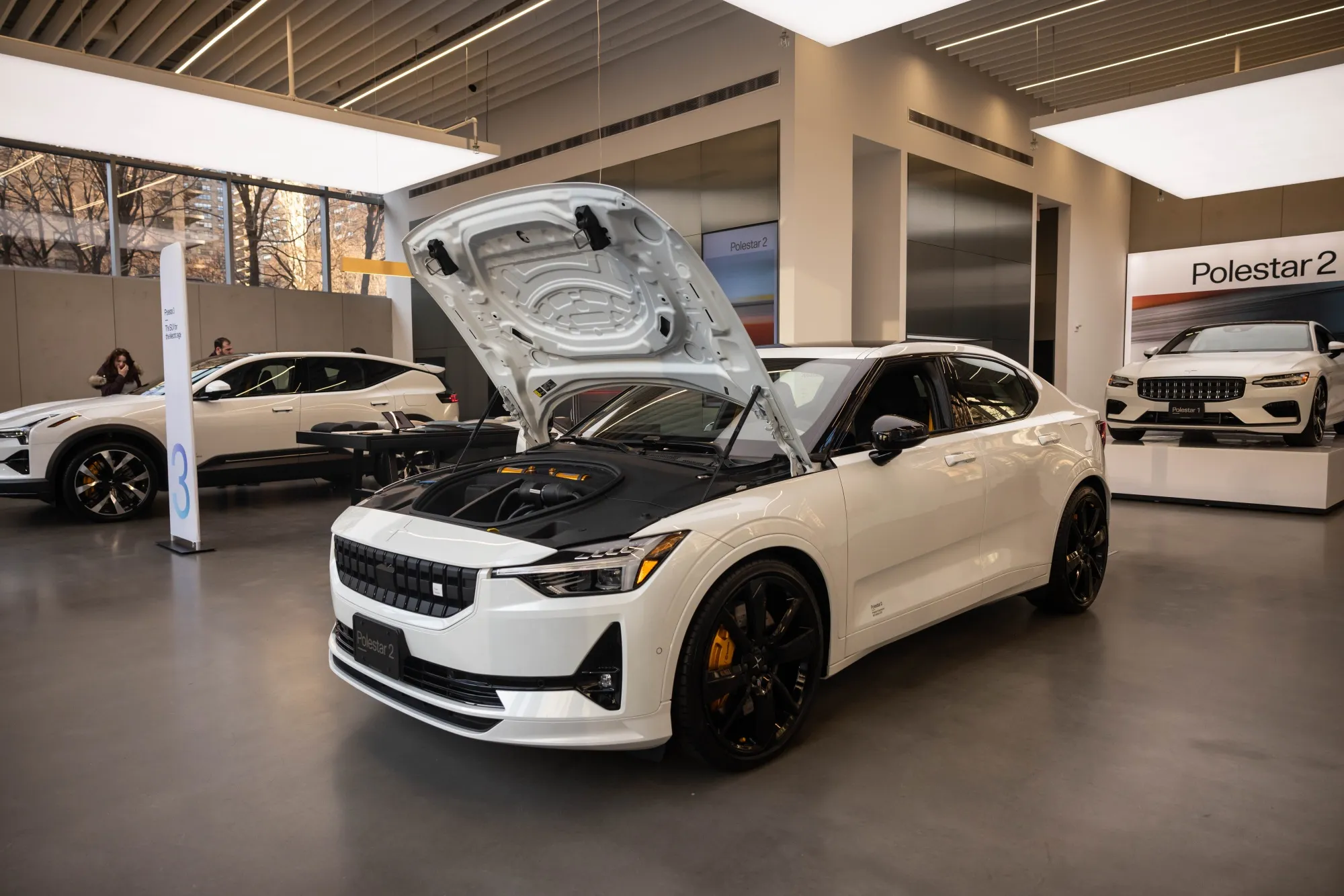 Polestar Owners (Volvo Car-Geely) May Need to Take EV Maker Private ...