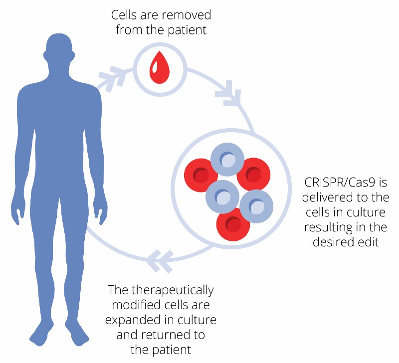 CRISPR Therapeutics Plans First CRISPR Clinical Trial in Europe for 2018