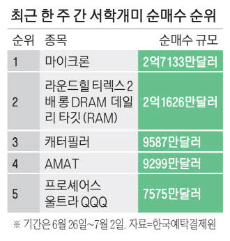 서학개미, 마이크론·메모리 2배 레버리지 집중 매수