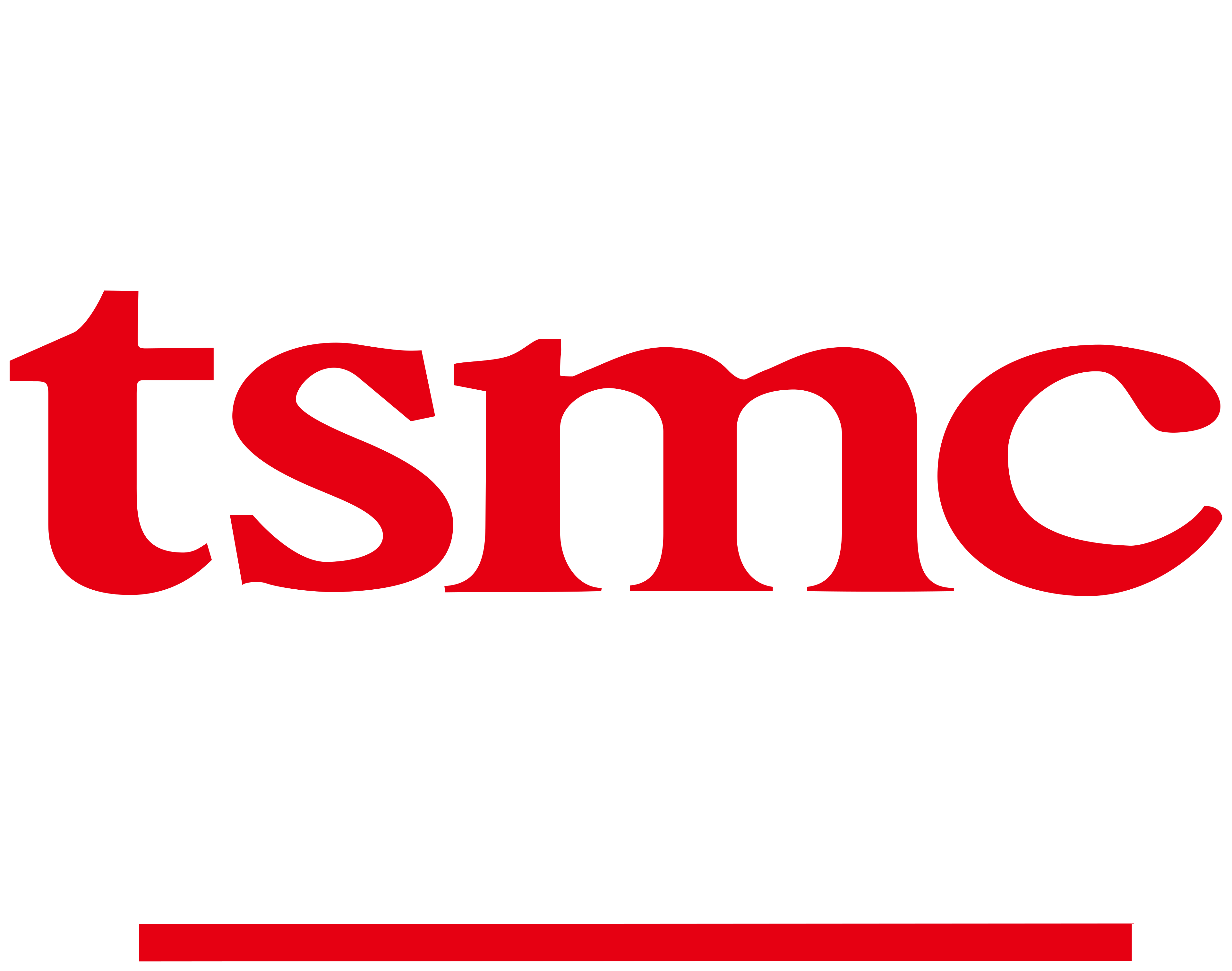 TSMC 개요