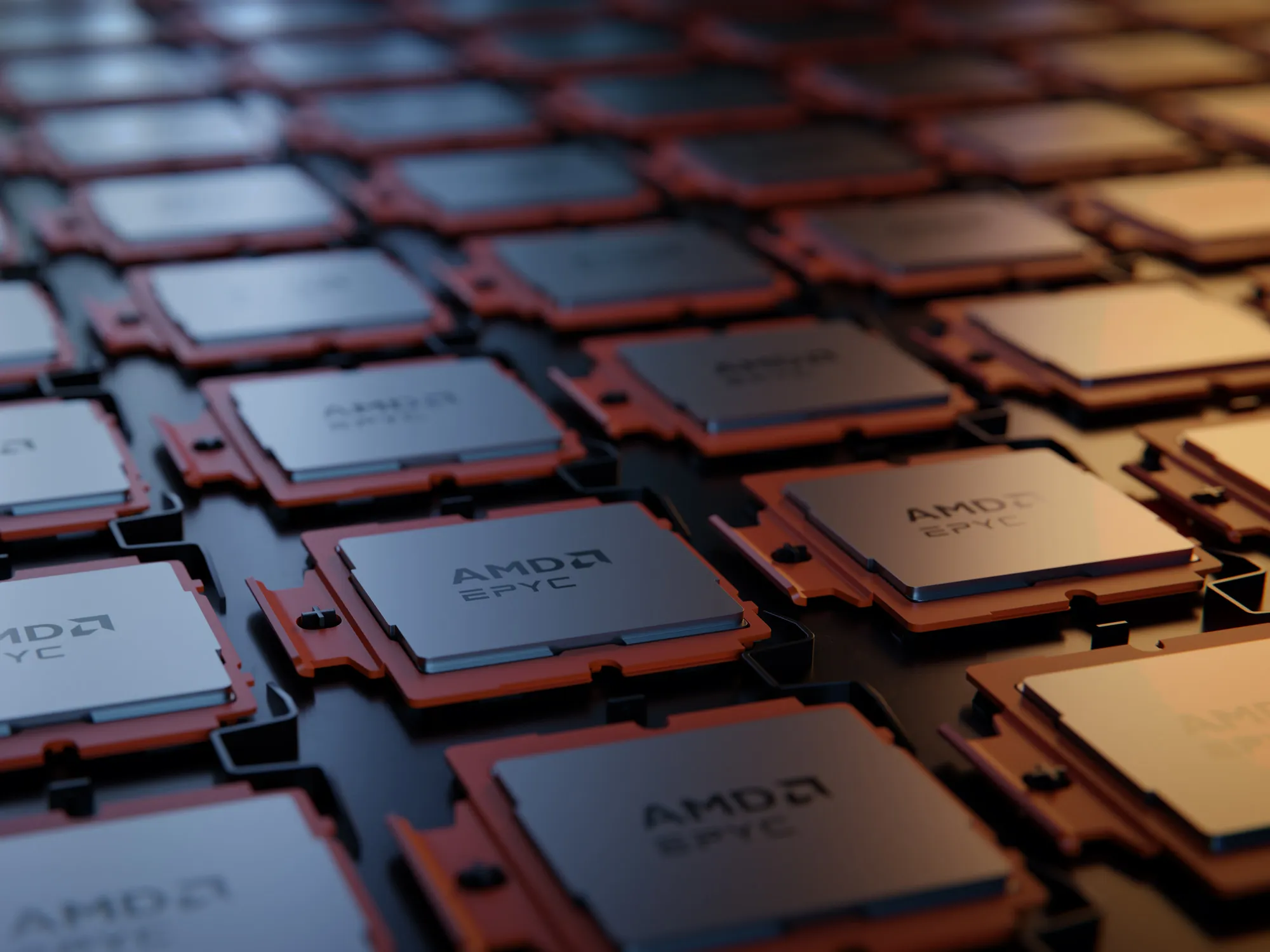 AMD Advanced Micro Devices Tracks Nvidia Gains in Wall Street's AI ...