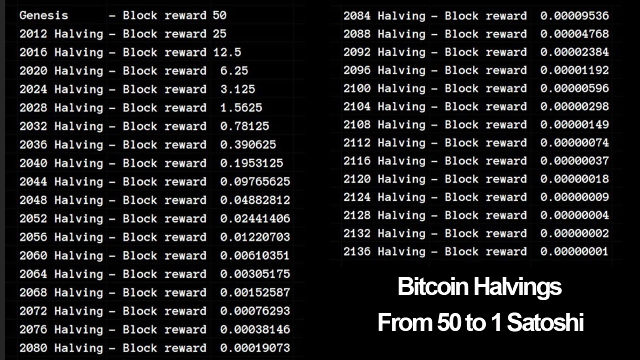 Charting Bitcoin's Predictable Course: A Comprehensive Review of the ...