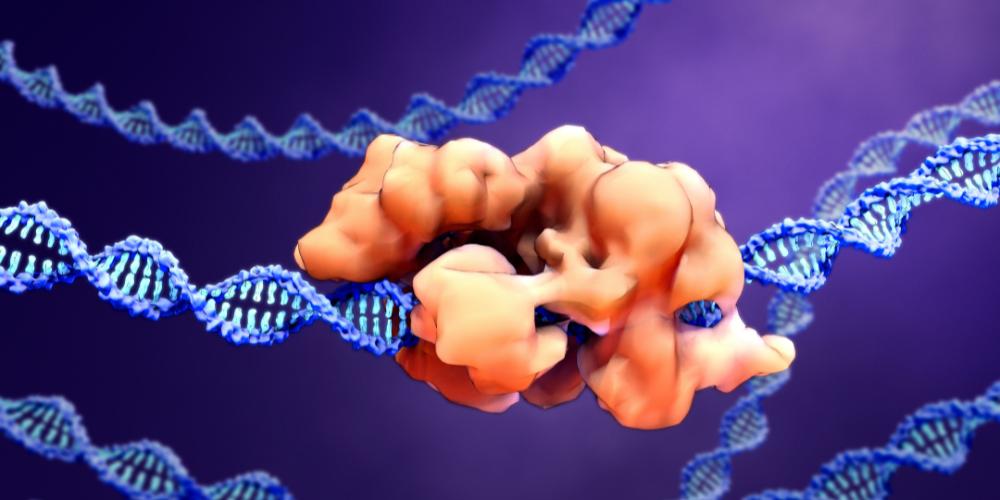 Intellia Therapeutics's CMO on Exciting Developments in In Vivo Gene ...