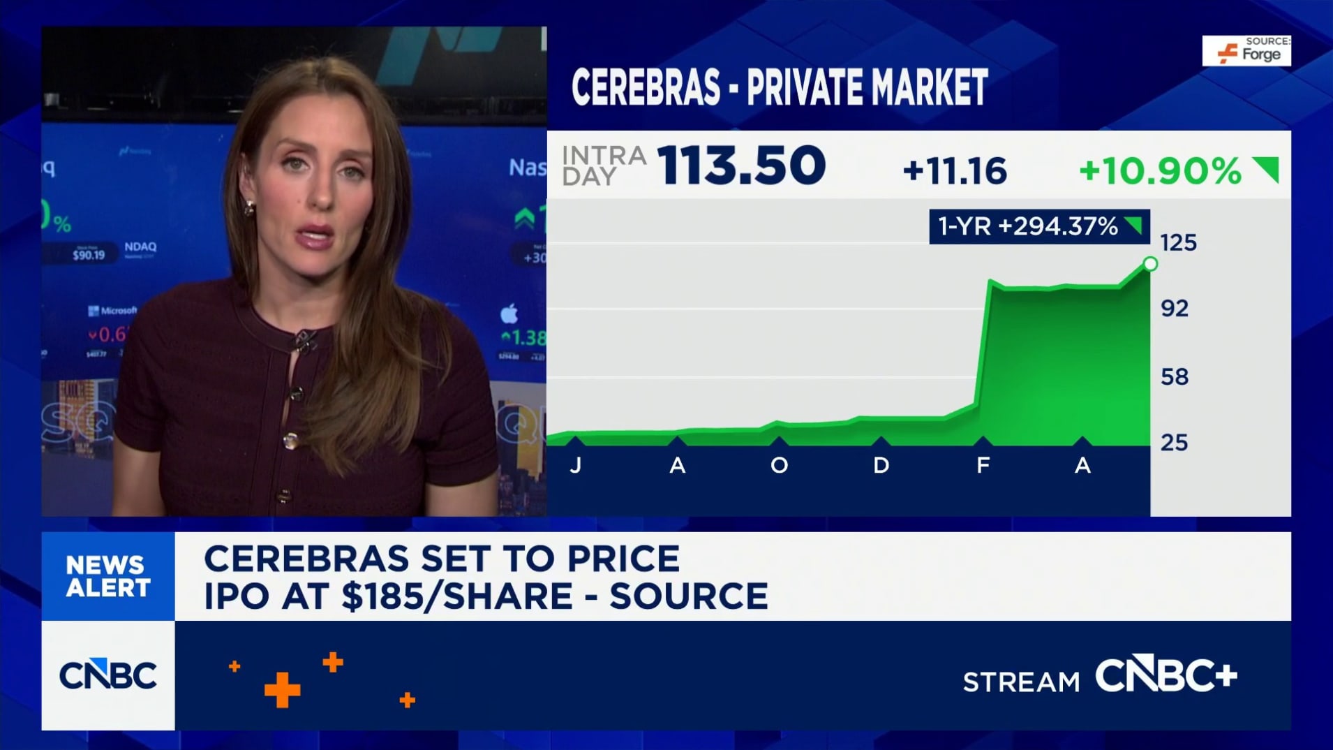 Cerebras 실적 발표 후 주가 급락, 일부 락업 물량 이번 주 거래 가능