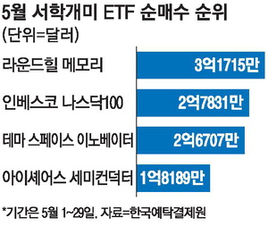 서학개미, 메모리 ETF 순매수 1위는 라운드힐