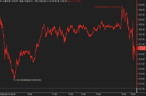 미국 5월 CPI 발표에 달러-원 1,520.20원으로 상승폭 일부 반납