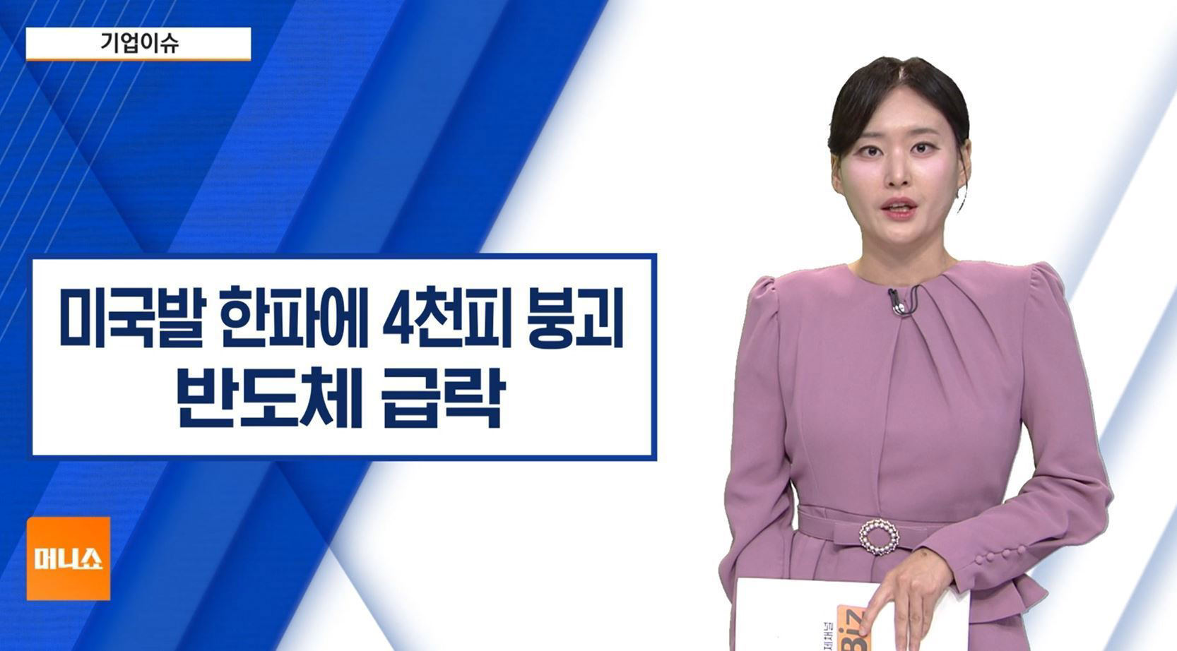반도체주 급락, 시걸 교수는 단기 조정이라고 진단