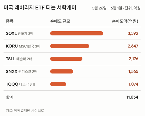 서학개미, SOXL 등 미국 레버리지 ETF 대거 매도하고 '삼전닉스'로 옮겨