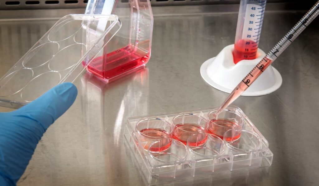 BridgeBio and Resilience partner to develop gene therapies
