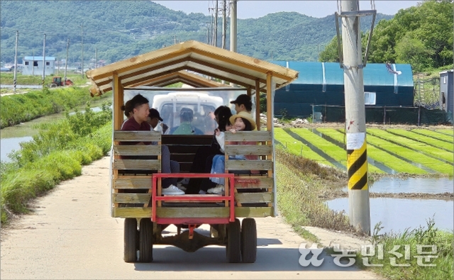 농협 NH오늘농사 앱, 2030 서포터즈와 체험행사